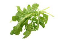 Baby Arugula