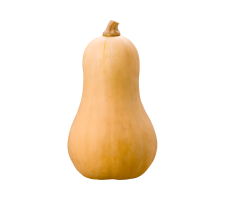 Butternut Squash