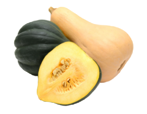 squash