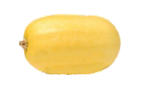 Spaghetti Squash